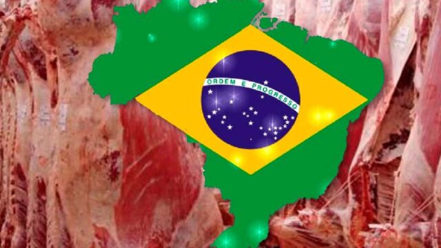 Golpe a la carne brasileña: la Unión Europea suspende las importaciones y crece la tensión con el Mercosur